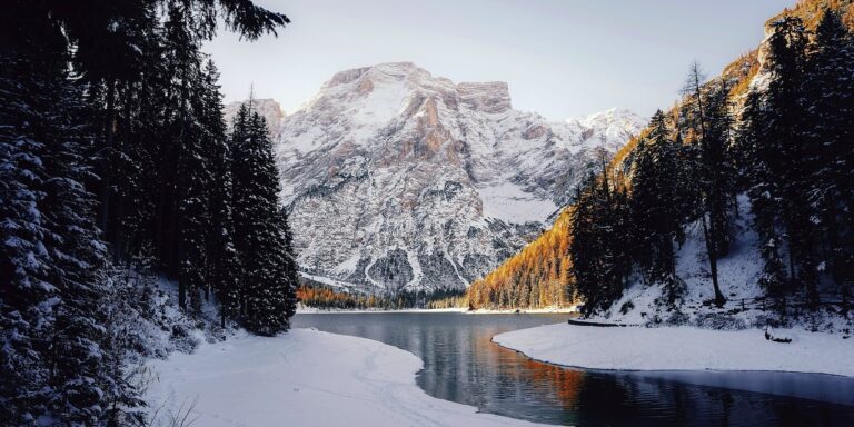 forest, landscape, trees, snow, winter, nature, mountain, sky