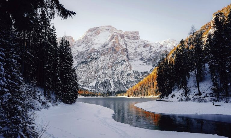 forest, landscape, trees, snow, winter, nature, mountain, sky
