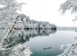 winter, snow, nature, landscape, lake, reflection, frost, branch, white, trees, panorama, calm, winter landscape, view, natural, peaceful, fresh, winter love, tranquil nature, season