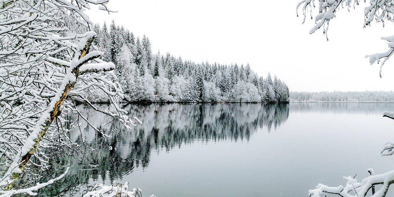 winter, snow, nature, landscape, lake, reflection, frost, branch, white, trees, panorama, calm, winter landscape, view, natural, peaceful, fresh, winter love, tranquil nature, season
