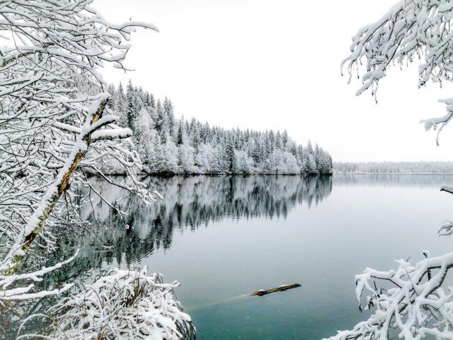 winter, snow, nature, landscape, lake, reflection, frost, branch, white, trees, panorama, calm, winter landscape, view, natural, peaceful, fresh, winter love, tranquil nature, season