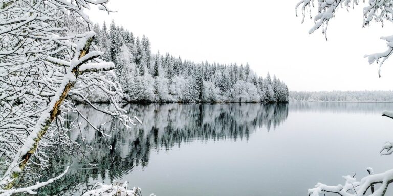 winter, snow, nature, landscape, lake, reflection, frost, branch, white, trees, panorama, calm, winter landscape, view, natural, peaceful, fresh, winter love, tranquil nature, season