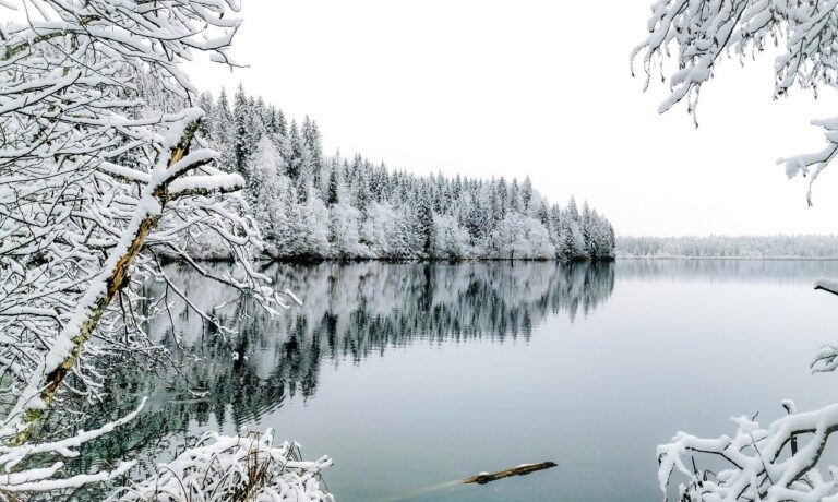 winter, snow, nature, landscape, lake, reflection, frost, branch, white, trees, panorama, calm, winter landscape, view, natural, peaceful, fresh, winter love, tranquil nature, season