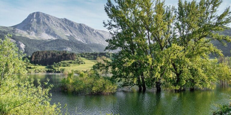 lake, tree, mountain, nature, landscape, green, sky, cloud, forest, natural, spring, pond, reflect, peace, beech, trail, relaxing, tranquil, water