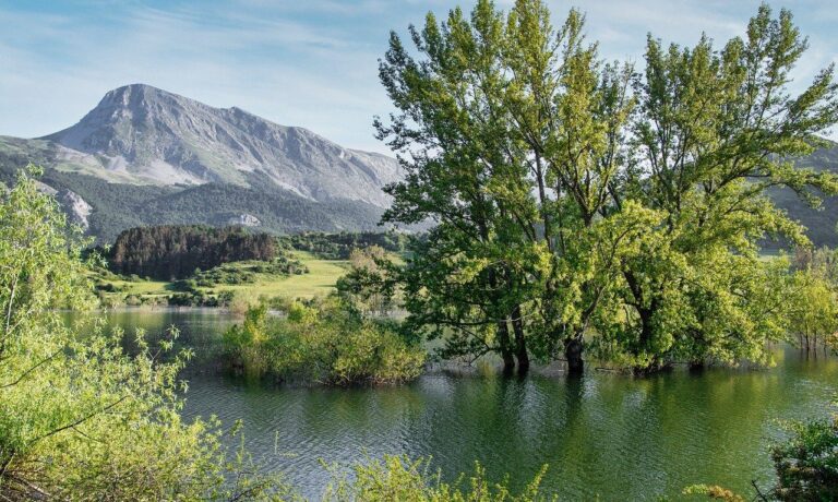 lake, tree, mountain, nature, landscape, green, sky, cloud, forest, natural, spring, pond, reflect, peace, beech, trail, relaxing, tranquil, water