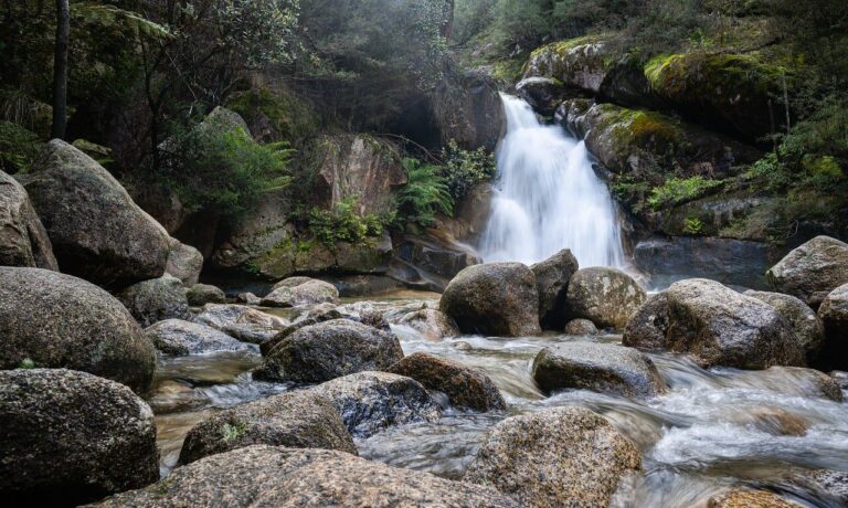 Photo by pen_ash waterfall, rocks, nature, swimming hole, pool, water, landscape, picturesque, oasis, victoria, national park, green, swimming, tourism, flowing water, idyllic, tranquility, ladies bath falls, mount buffalo victoria australia
